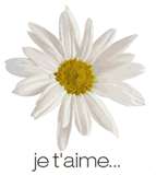 pour toi