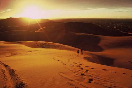 sahara  de  maroc