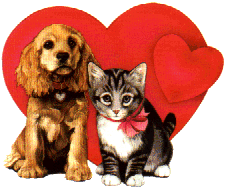 amour