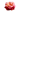 Dou3a