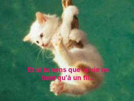 amour